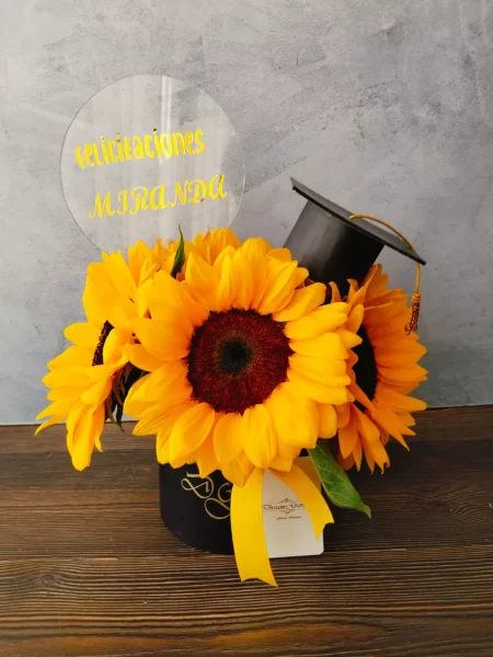 Box Graduación