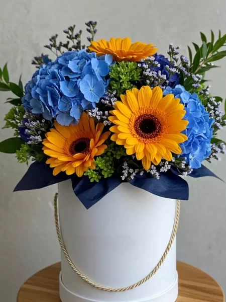 Box Azul Sol para Papá